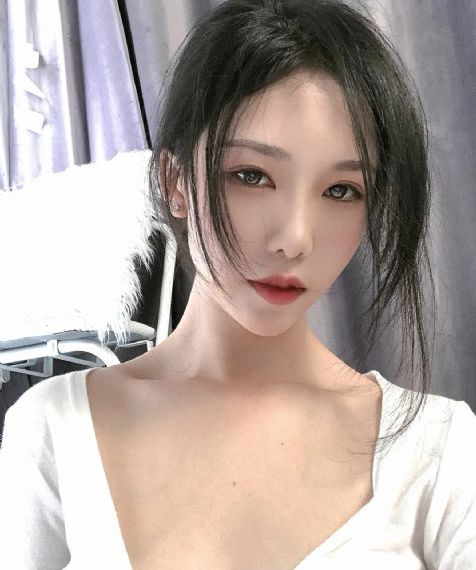 树先生免费观看全集